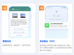 阿里云晋升WhatsApp Premier BSP，助力企业触达全球30亿用户