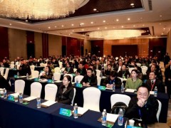 宁波盛会：数智化如何引领新型制造业高质量出海？