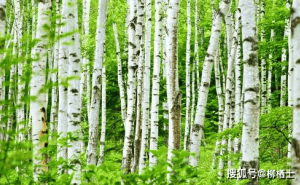 智能时代下的教育挑战：如何培养学生的创新精神与想象力？