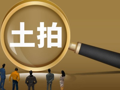 滨江集团豪掷52亿夺杭州新地王，2024年销售额挺进全国房企前十