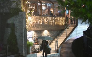 尼康Z50II微单：解锁摄影新境界，色彩创意任你挥洒！