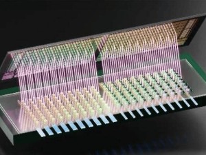美团队研发3D光电子芯片，能效带宽创纪录，或重塑AI硬件未来