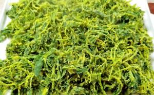 春日养生宝藏！这种被名字耽误的野菜，营养竟超越荠菜？