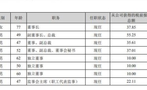 云图控股2024年净利下滑，高管薪酬微调，未来发展何去何从？