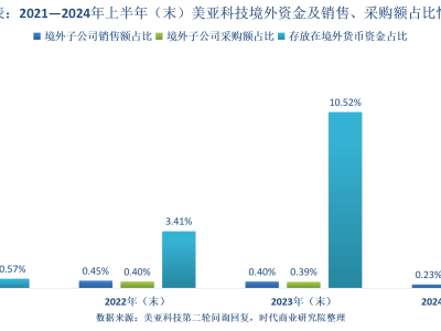美亚科技IPO之路：前员工十年侵占1900万，资金管理漏洞何解？