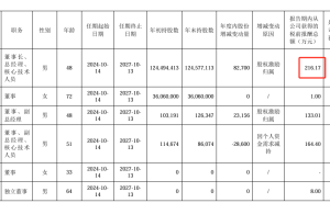 金宏气体2024年净利下滑三成六 高管薪酬却大幅上涨