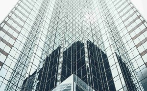 《宠物王国外传》：一场奇幻宠物冒险背后的匠心之旅