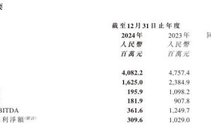 猫眼娱乐2024年收入下滑14.2%，电影业务表现如何？