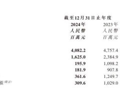 猫眼娱乐2024年收入下滑14.2%，电影业务表现如何？