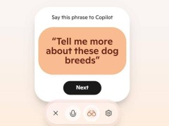 微软Copilot Vision免费开放测试，用户反馈：AI网页助手尚需打磨