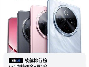 vivo Y300 Pro+续航力压群雄，7300mAh大电池登顶权威榜单！
