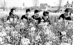 春日里的生动一课：带孩子走进“第二课堂”感受自然之美