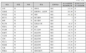 美亚光电2024年净利下滑13%，董秘加薪引关注，高管薪酬调整为何不同？