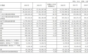 长城汽车2024年营收净利双增，新能源与海外市场成亮点