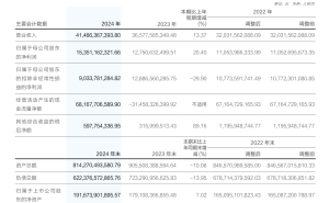 华泰证券2024年业绩亮眼，高管薪酬普降，国际化与科技赋能成效显著