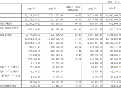 长城汽车2024年财报亮点：净利润大增八成，海外市场销量飙升
