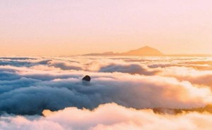 家电企业打造“企业家IP”，是捷径还是险途？