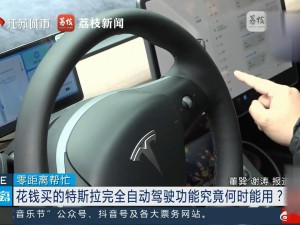 特斯拉HW 3.0车主盼FSD推送无果，官方：审批中，将尽快推送