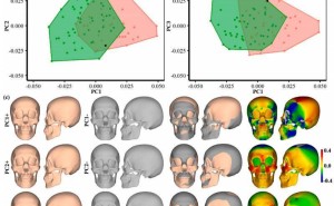 娅怀洞遗址揭秘：1.6万年前古人类面貌得以复原