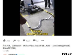 南开蛇形机器人亮相中关村，灵活身形挑战核辐射环境