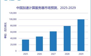 2024年中国加速服务器市场爆发，规模激增134%！GPU与非GPU齐飞