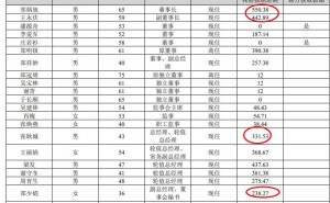 广东宏大2024年净利大增25%，高管薪酬曝光：董事长涨薪近百万
