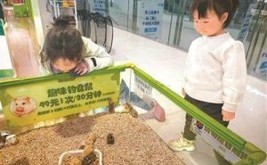 “异宠”热潮下的饲养风险，你了解多少？