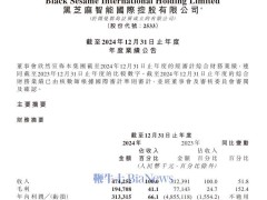 黑芝麻智能2024年营收大增五成，毛利率飙升，芯片量产在即！