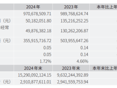 立新能源：2024年净利5018.21万元 下降62.89%
