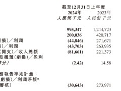 飞天云动2024年营收下滑两成，经调整净亏损超三千万港元