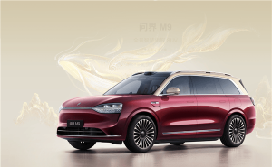 赛力斯2024年业绩大爆发，新能源汽车毛利率领跑行业，超越特斯拉！