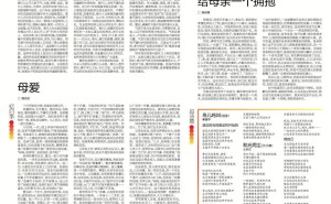 橘猫流浪记：从防备到依赖，一段跨物种的温馨情谊