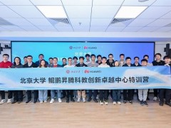 北京大学鲲鹏昇腾特训营：解锁AI大模型应用新技能