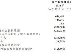 佑驾创新2024财报揭秘：营收增37%至6.5亿，运营亏损扩大至2.23亿