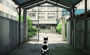 被遗弃的猫咪，仍在原地守候，它的等待能否换来奇迹？