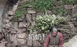 狗狗成家庭小帮手，暖心举动感动网友：奶奶带大的，果然都是贴心小棉袄！