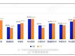 中大车型保值率领跑，国产电动车保值率形势严峻？