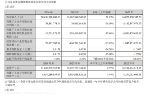 2024财报揭秘：这家知名企业营收大涨，净利润为何反降？