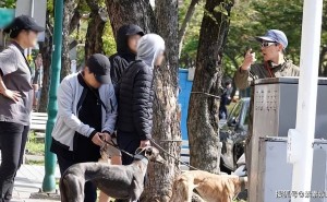 彭于晏携家人遛狗，温馨画面曝光，高个子女生陪伴引恋情猜测？