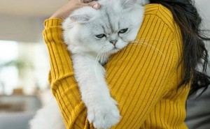因一只猫，十年友情何去何从？