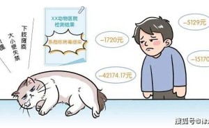 病猫引发纠纷，谁该为萌宠健康买单？