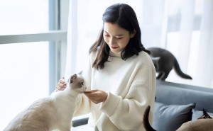 萌翻了！逆水寒手游猫猫主题游乐园，日均百万游客，铲屎官们的天堂？