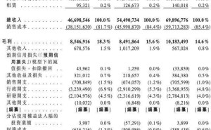 蓝思科技赴港上市，果链龙头周群飞身价或再涨
