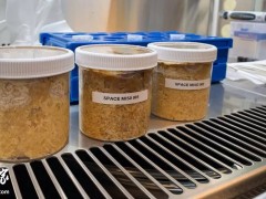太空味噌诞生！国际空间站首次成功发酵传统日本调味品