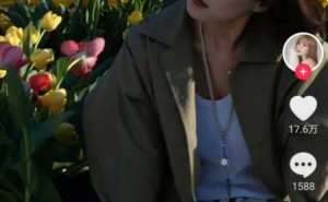 《爱情公寓》美嘉扮演者李金铭：真人秀风波，我从未被伤害