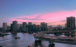 《葵攻略》奇幻之旅：揭秘游戏背后的冒险与开发传奇