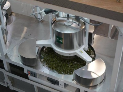 无糖茶风靡，云南茶乡焕新颜：钟睒睒如何铺就茶农致富路？