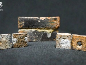 月球砖块裂缝有救了？印度科学家用细菌探索修复新法