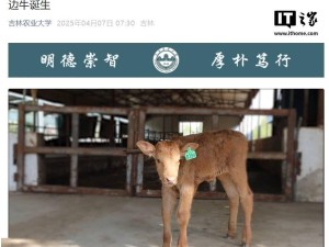 吉林农大成功克隆延边牛，濒危畜种保护迎来新希望！