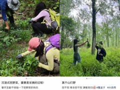 年轻人“打野”热：挖野菜成新潮流，带动商家销售激增